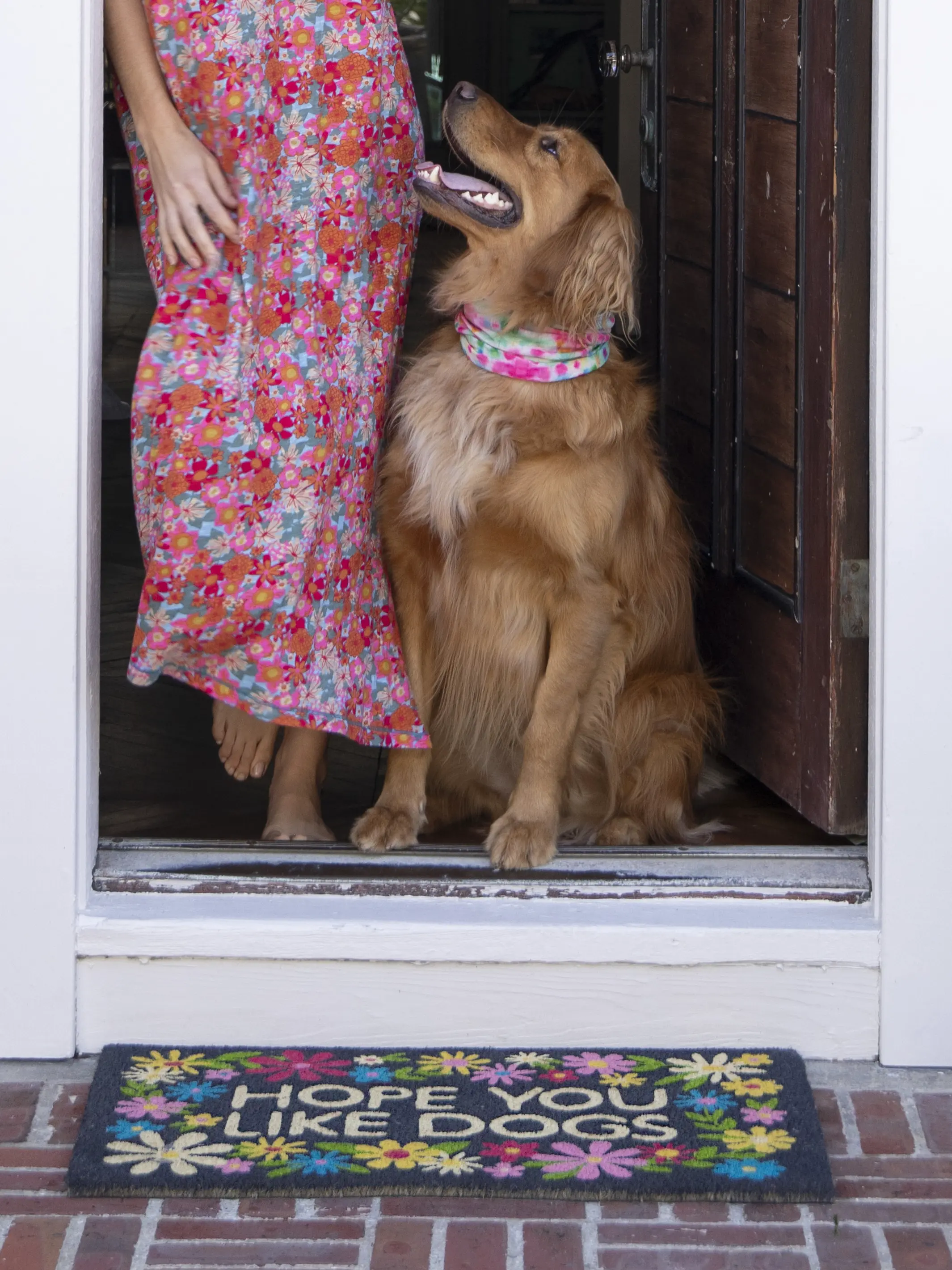 Bungalow Doormat - Like Dogs Black - Image 4