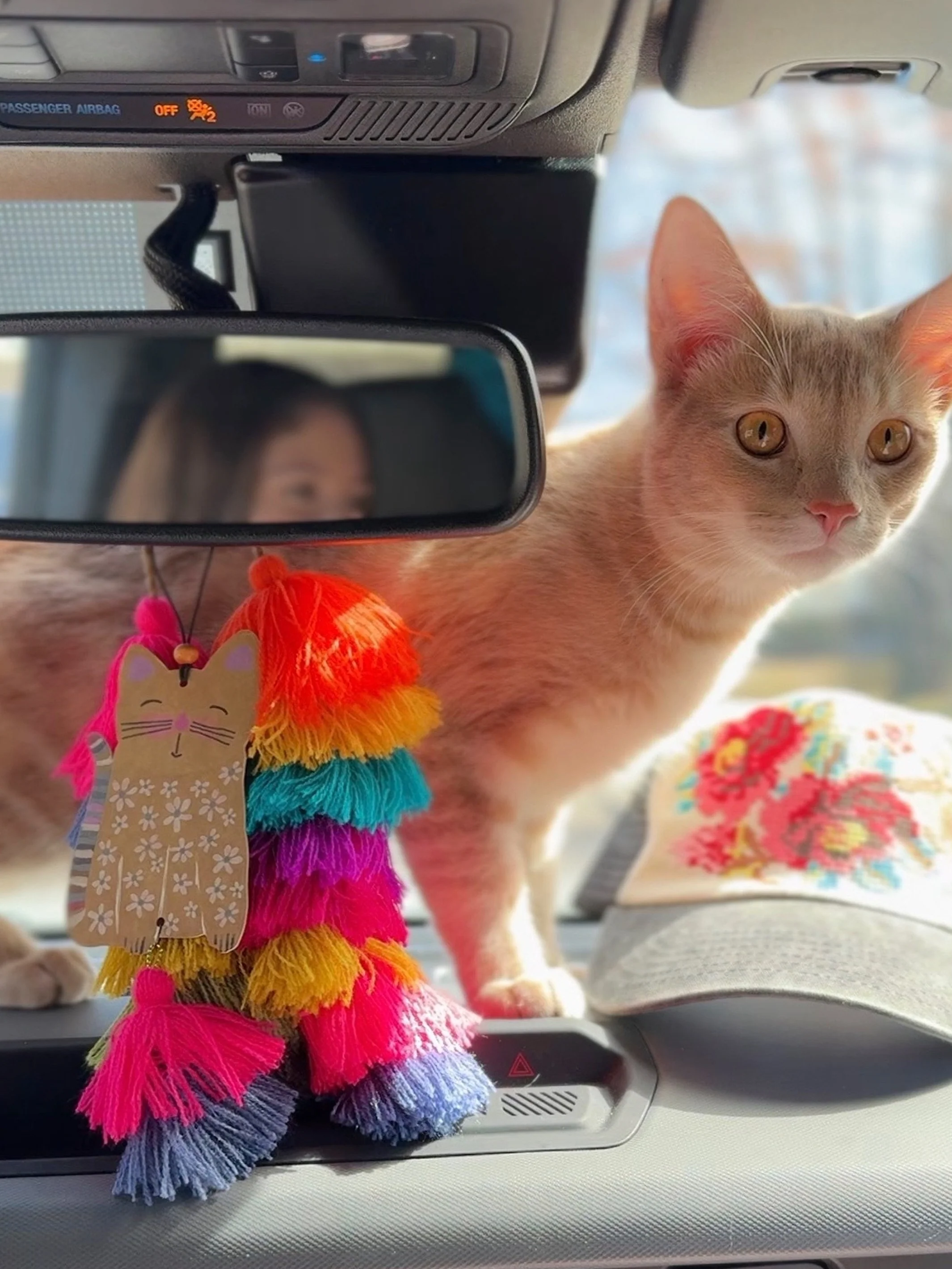 Car Air Freshener - Cat - Image 3