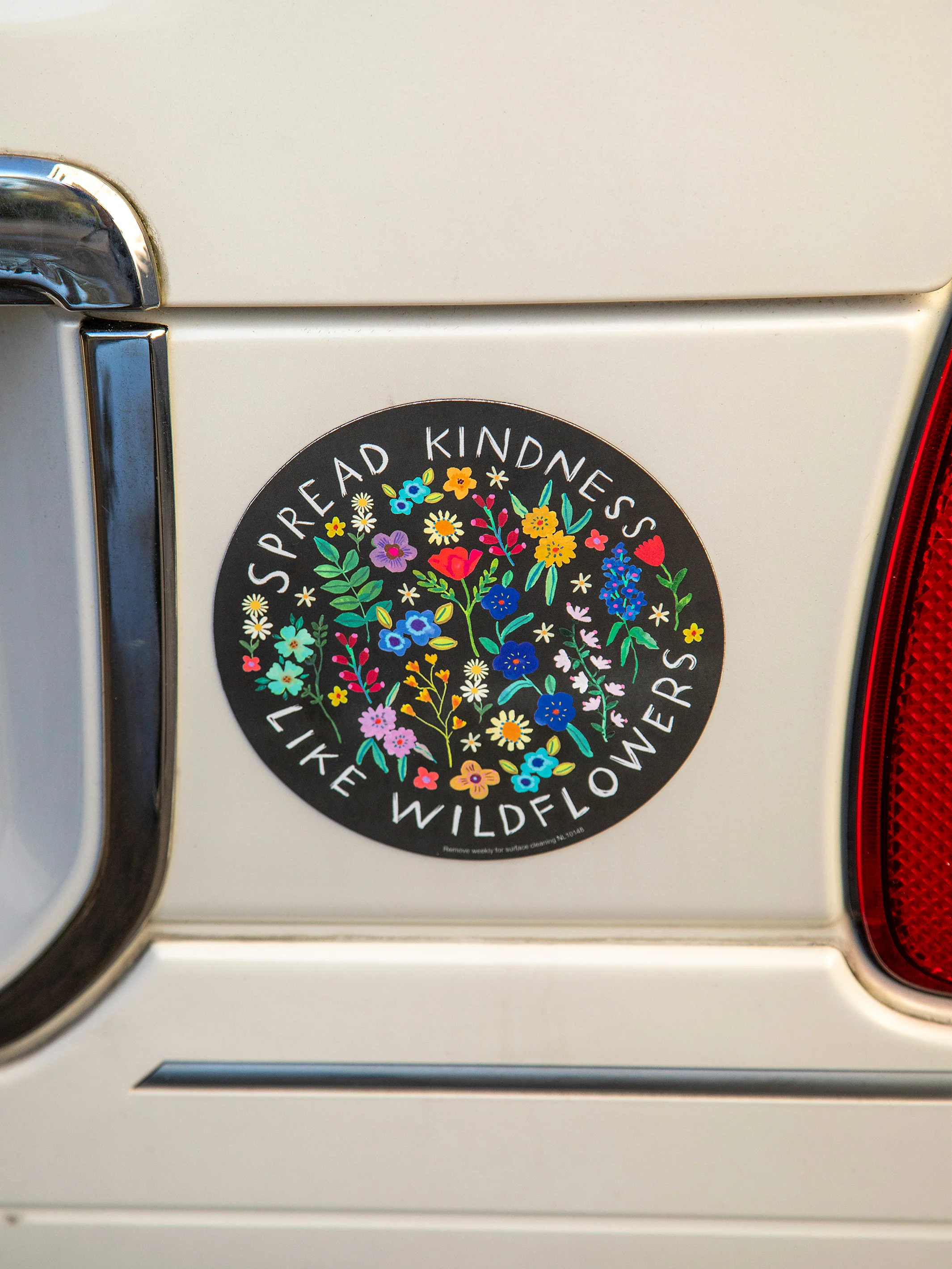 Car Magnet - Spread Kindness - Image 2