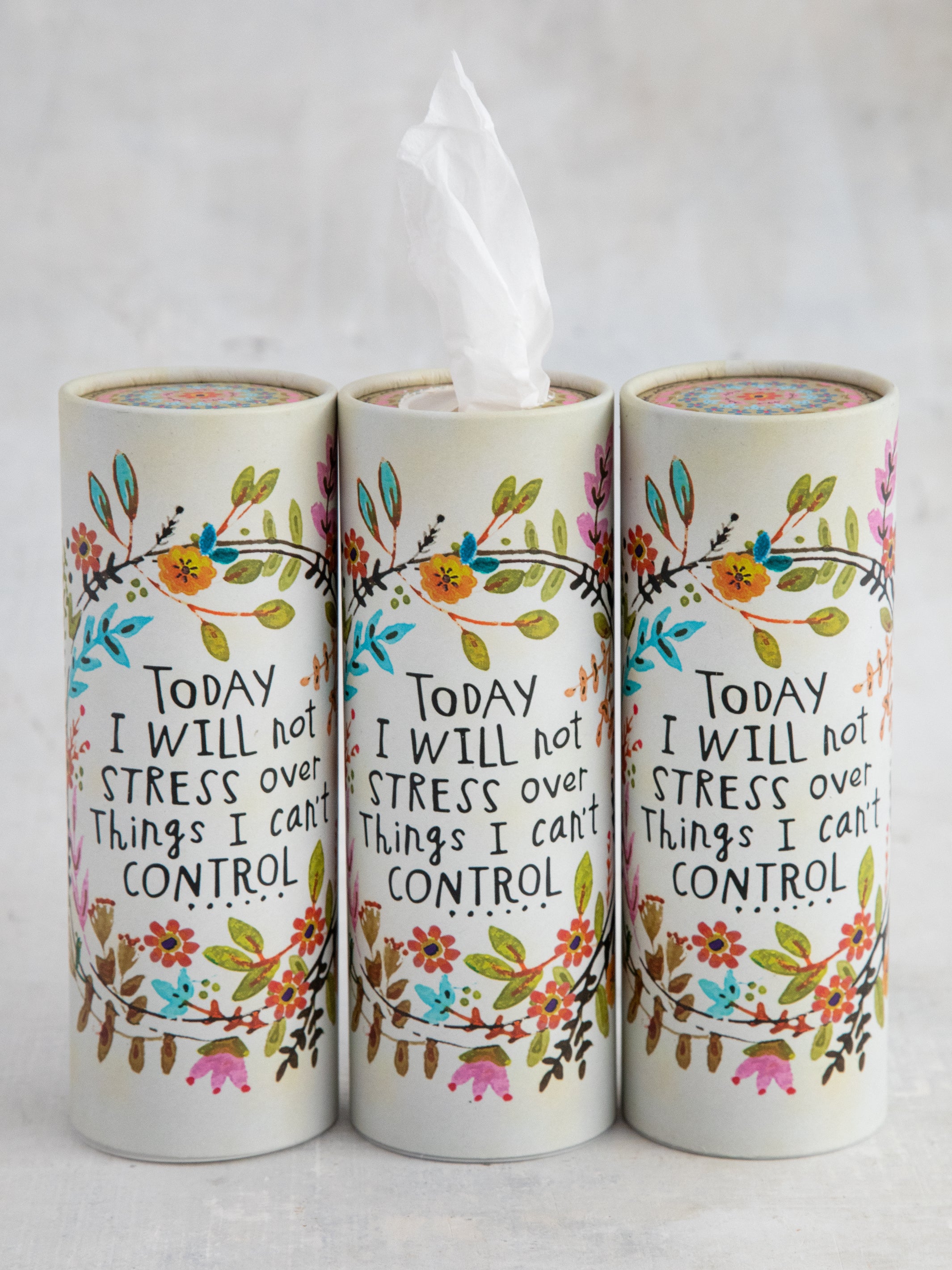 Car Tissues, Set of 3 - Will Not Stress - Image 2