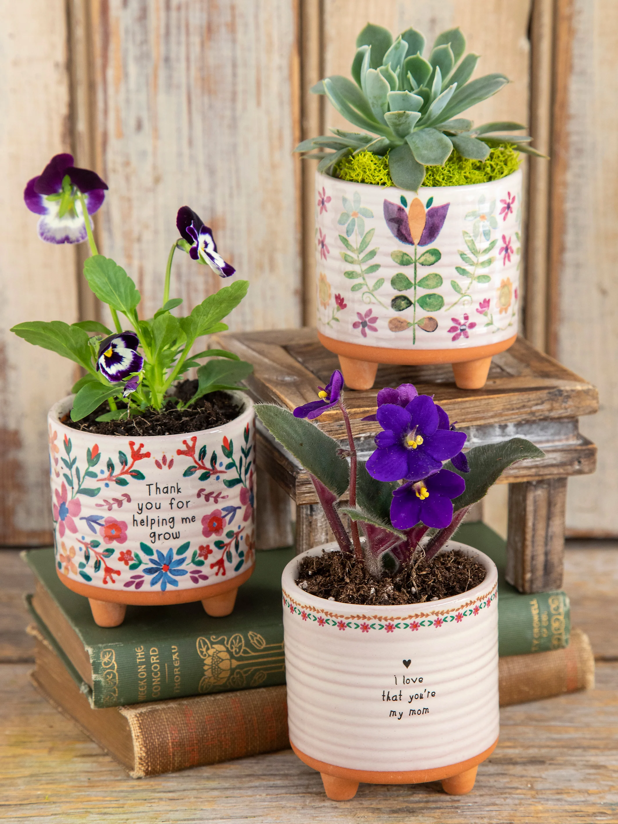 Mini Artisan Planter - Folk Flower - Image 4