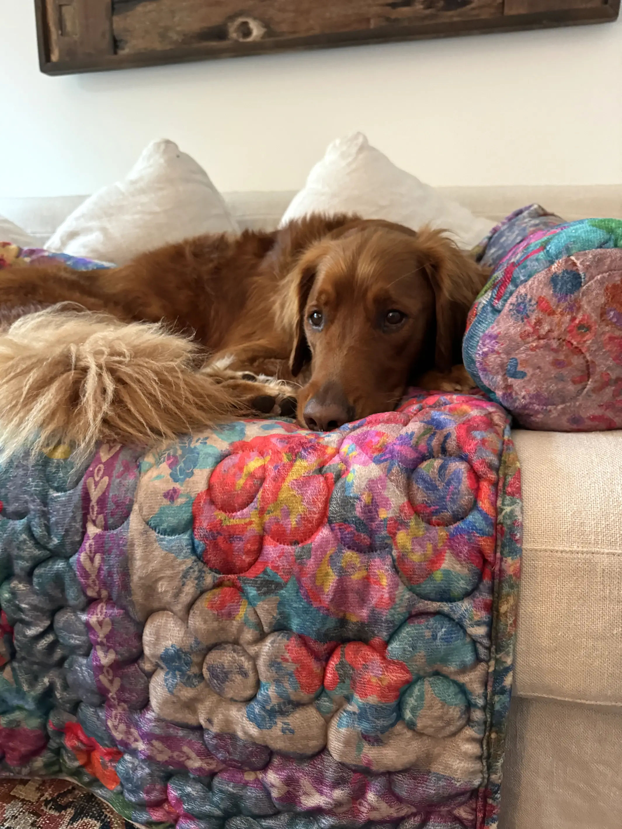Sofa Pet Bed - Rainbow Bandana Patchwork - Image 2